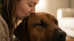 Do You Kiss Your Dog? Scientists Reveal How It Really Feels About It