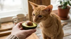 8 Scents Domestic Cats Especially Love