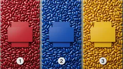 Red, Blue, or Yellow: Which Color Will You Choose? – A Psychological Test