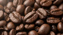 Caffeine and the Body: How Many Cups of Coffee a Day Are Reasonable?